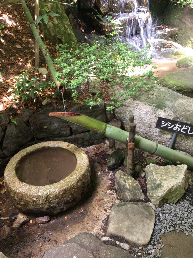 基山　つつじ寺　大興善寺