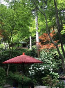 基山　つつじ寺　大興善寺